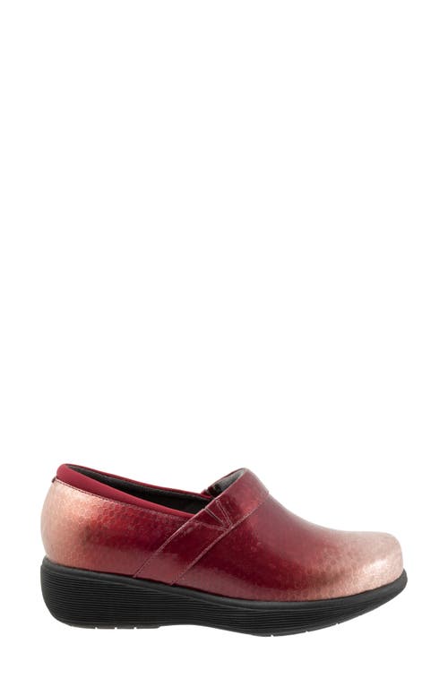 Softwalk ® Meredith Sport Clog In Brown