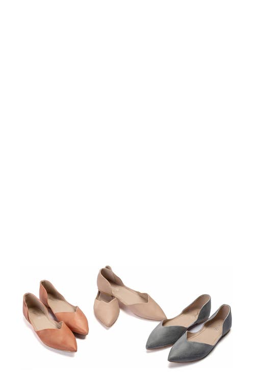 Antelope Thea Pointed Toe Flat In Blue