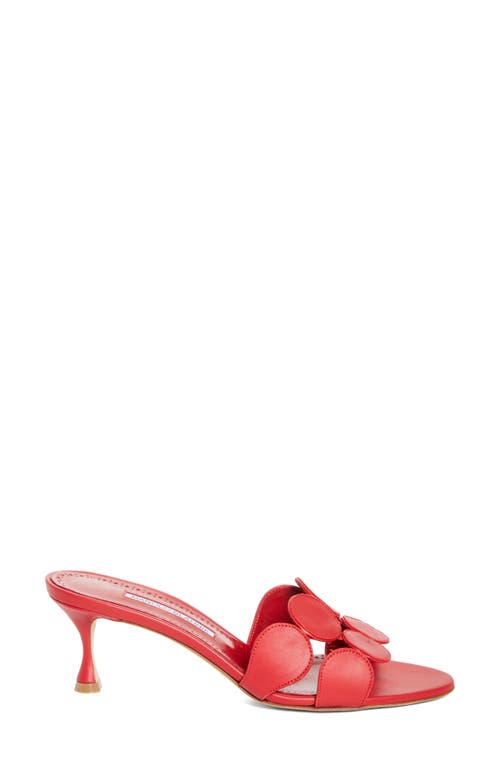 Manolo Blahnik Haribalmu Kitten Heel Sandal In Red