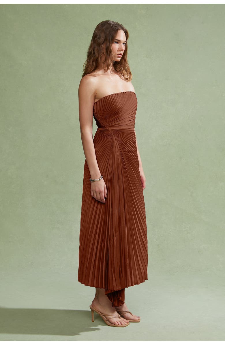 AMUR Everyn Pleated Gown, Alternate, color, Pink Clay