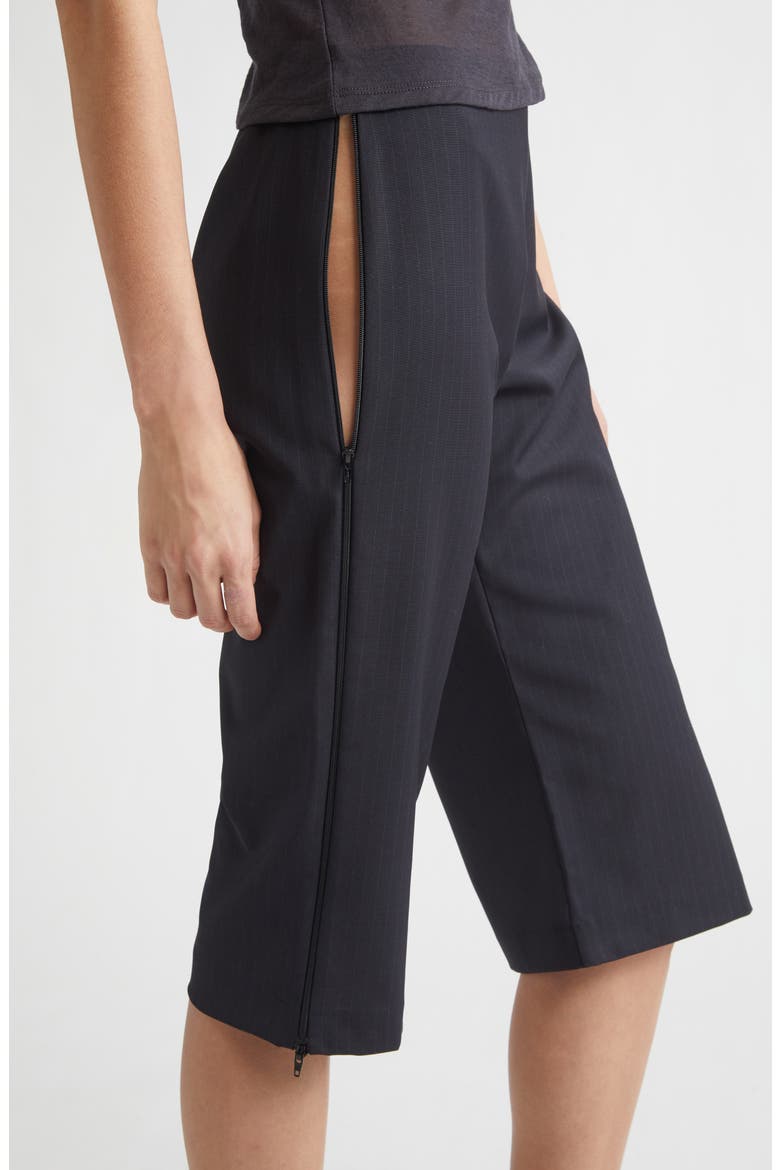 Lumieti Pinstripe Side Zip Capri Pants, Alternate, color, DARK GREY
