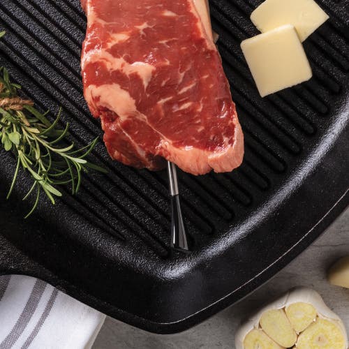 Maverick Stake Extended Range Wireless Bluetooth Thermometer In Black