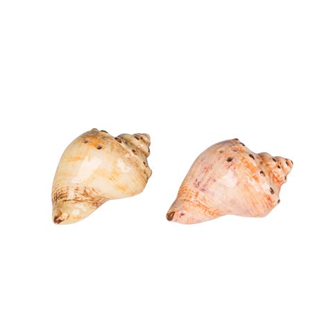 2.8" Ceramic Conch Shell Salt/Pepper Set Of 2