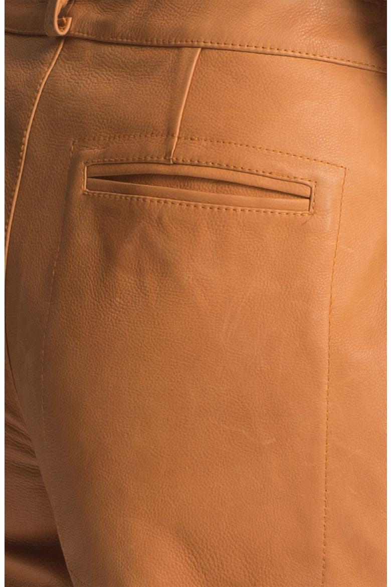 'Cash' Leather Shorts, Alternate, color, CARAMEL