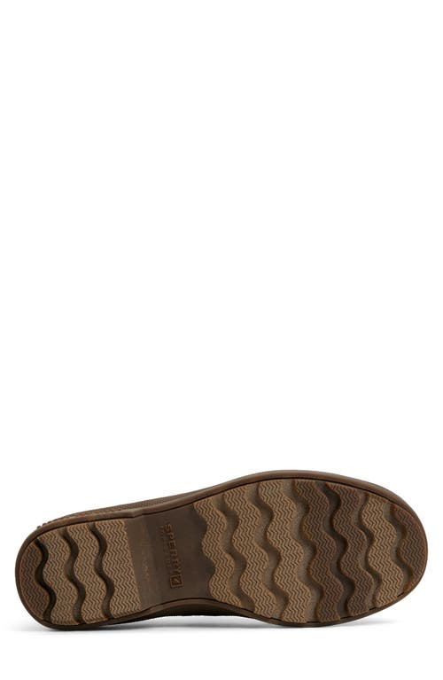 Sperry Coldbay Waterproof Duck Shoe In Animal Print