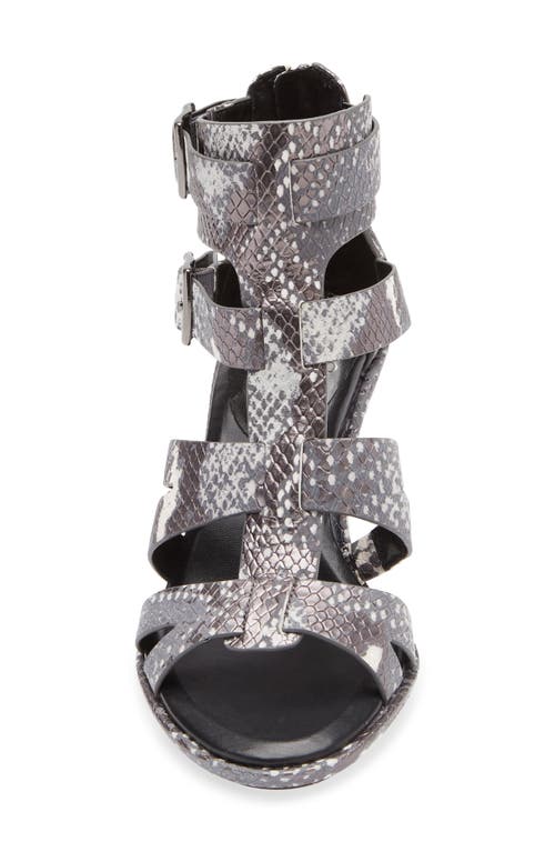 Vince Camuto Frenton Buckle Sandal In Animal Print