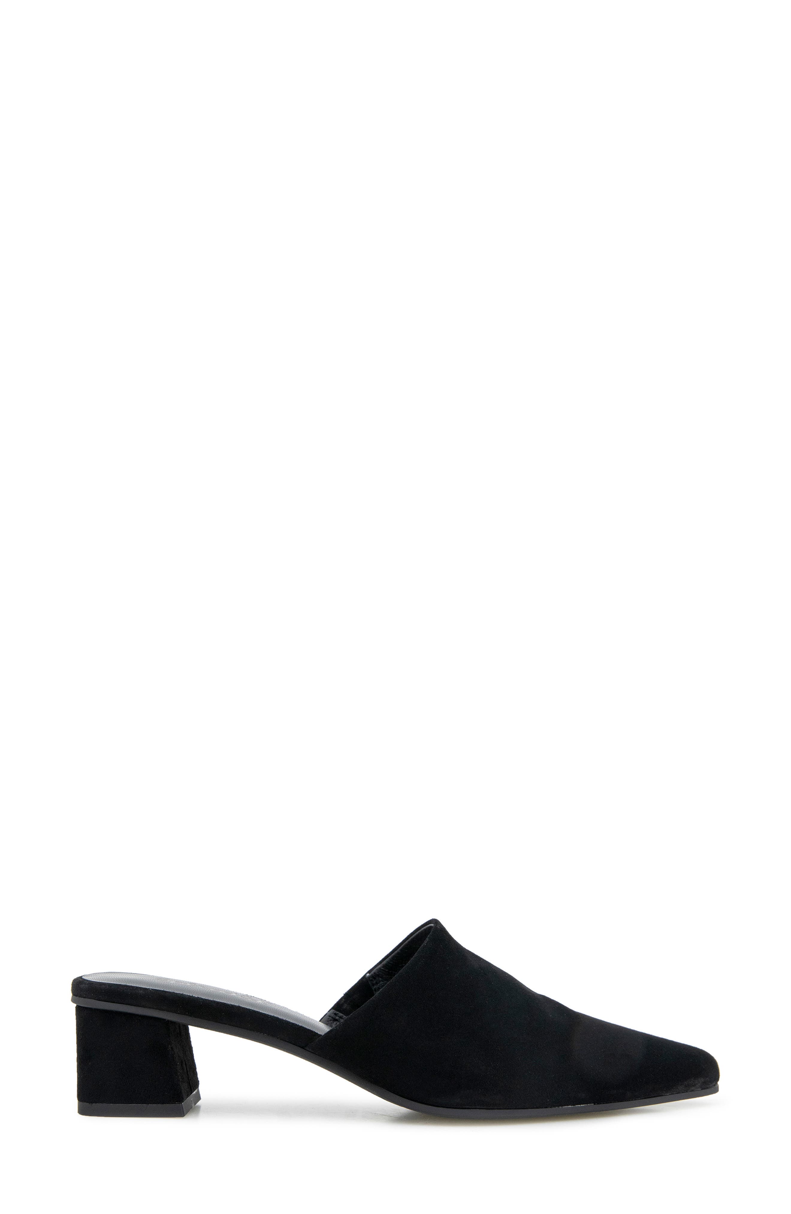 Splendid Laylai Pointed Toe Mule, Alternate, color, Black