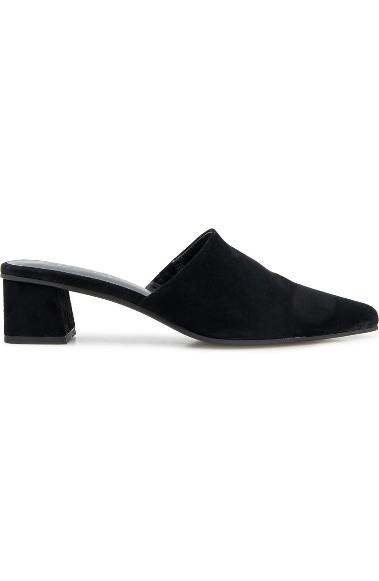 Splendid Laylai Pointed Toe Mule, Alternate, color, Black