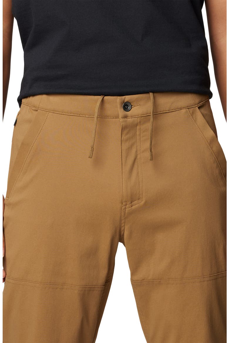 Hardwear All Purpose Active Pants, Alternate, color, COROZO NUT