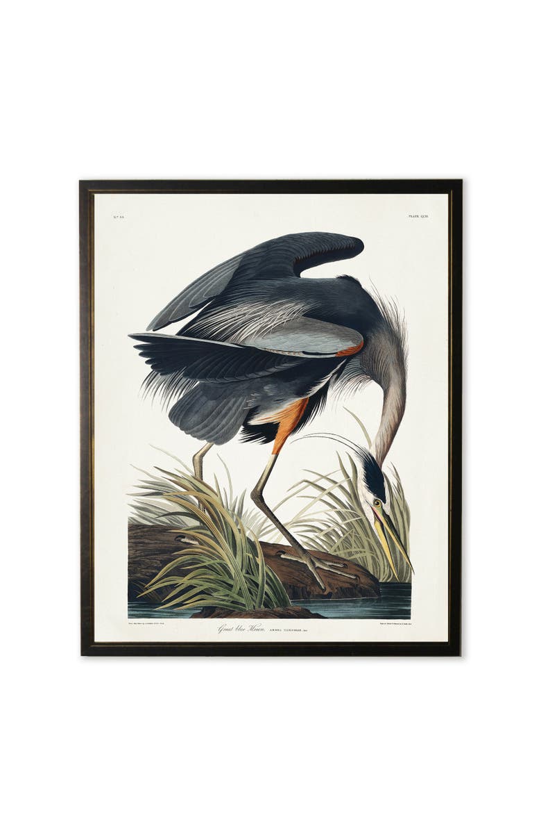 Antique Curiosities Black Heron in Black and Copper Frame, Main, color, Multi