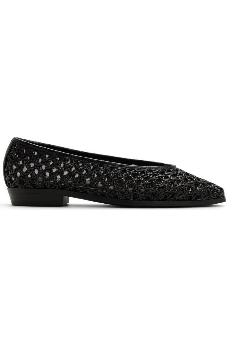 ALDO Rafaella Ballet Flat, Alternate, color, Black