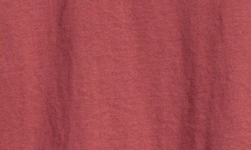 Rip Curl Kids' Sasha Cotton Graphic T-shirt In Apple Butter