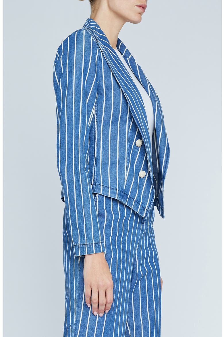 Wayne Stripe Double Breasted Crop Denim Jacket, Alternate, color, DENIM STRIPE