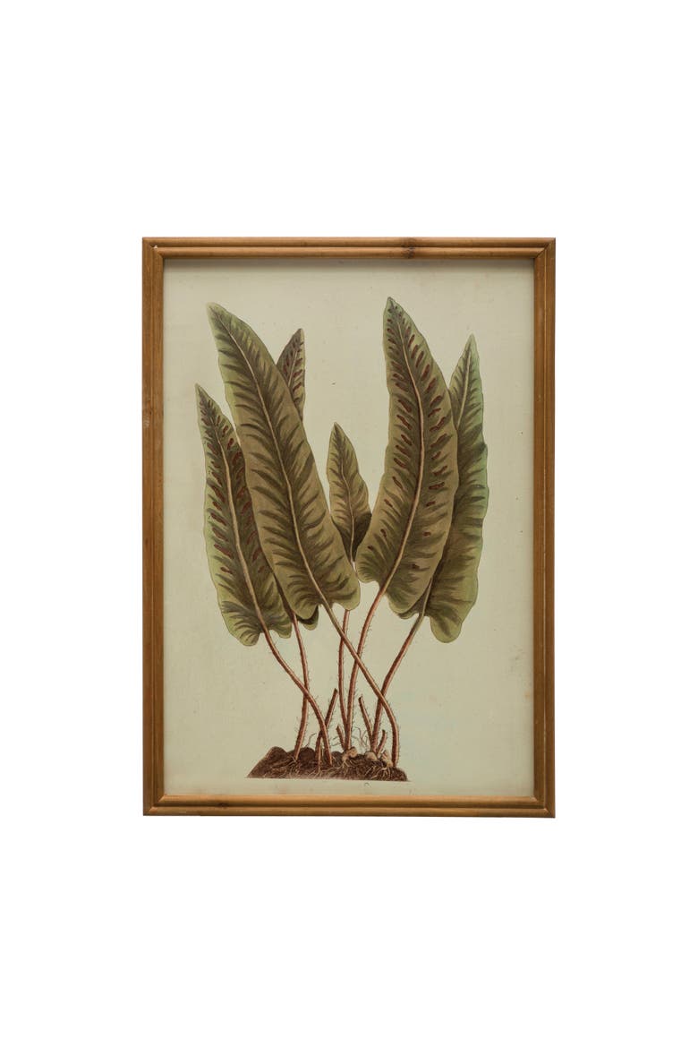 Wood Framed Botanical Print with Glass Cover, Multicolor, Main, color, Multicolor