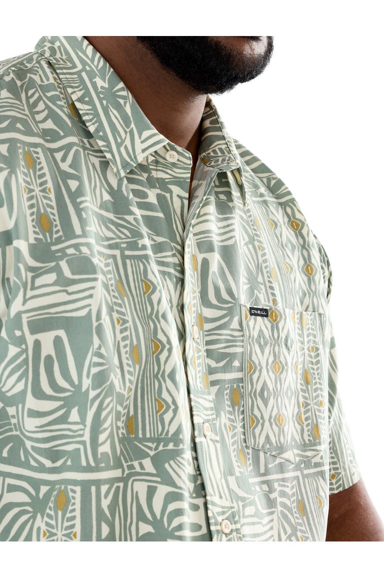 Big & Tall Oasis Sport Shirt, Alternate, color, SAGE