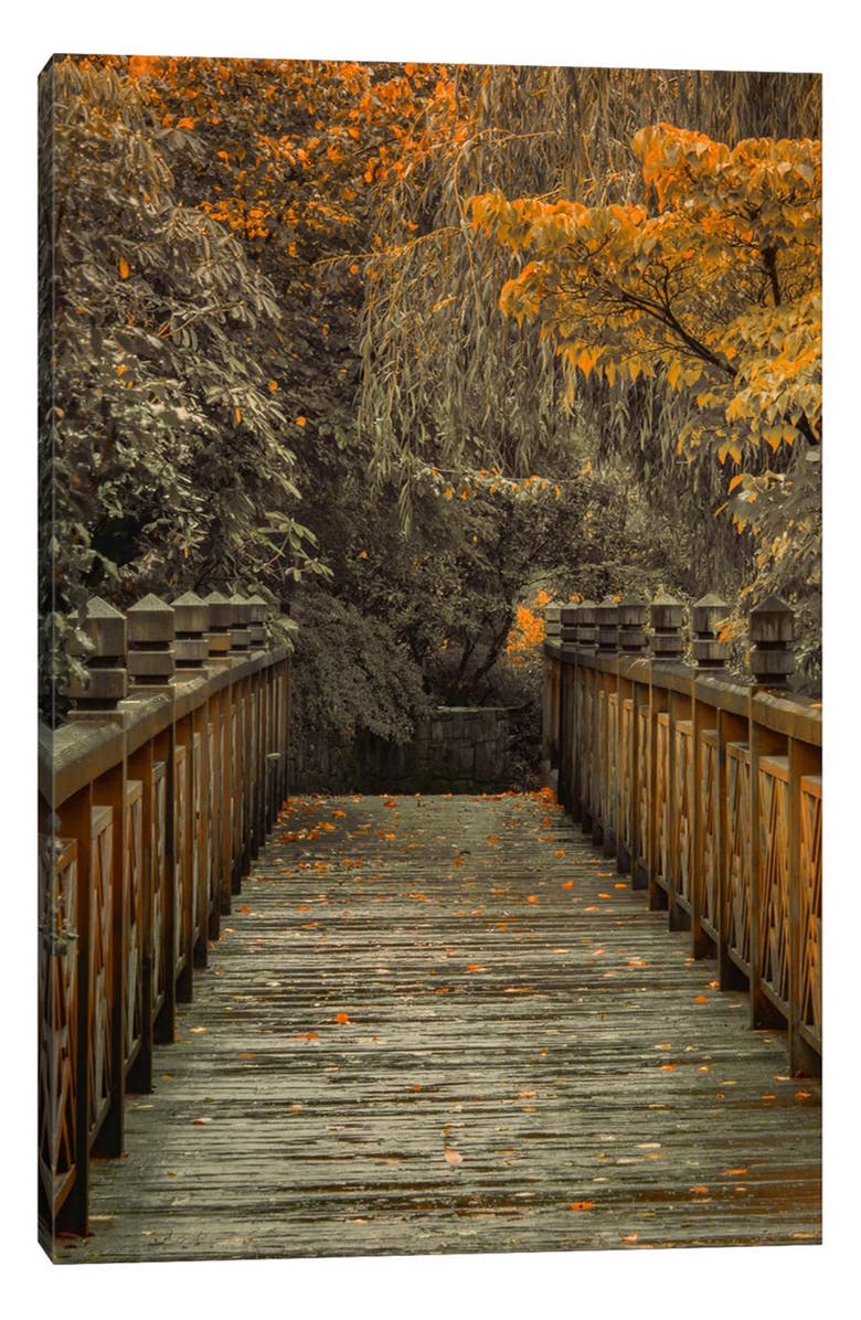 iCanvas Across The Bridge by Don Schwartz Canvas Wall Art, Main, color, Forest Bridge