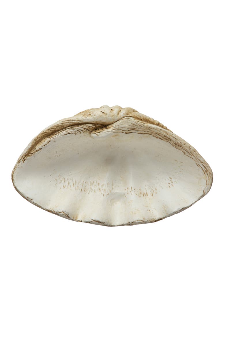 Coastal Decorative Magnesia Clamshell, Natural, Alternate, color, Ivory