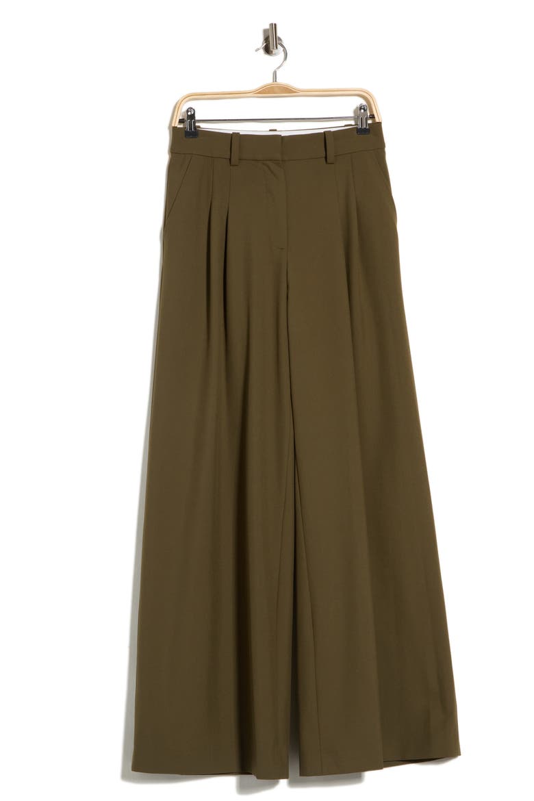 Clayton Wide Leg Pants, Alternate, color, ALLIGATOR