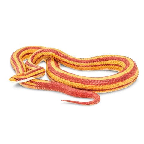 Corn Snake Toy