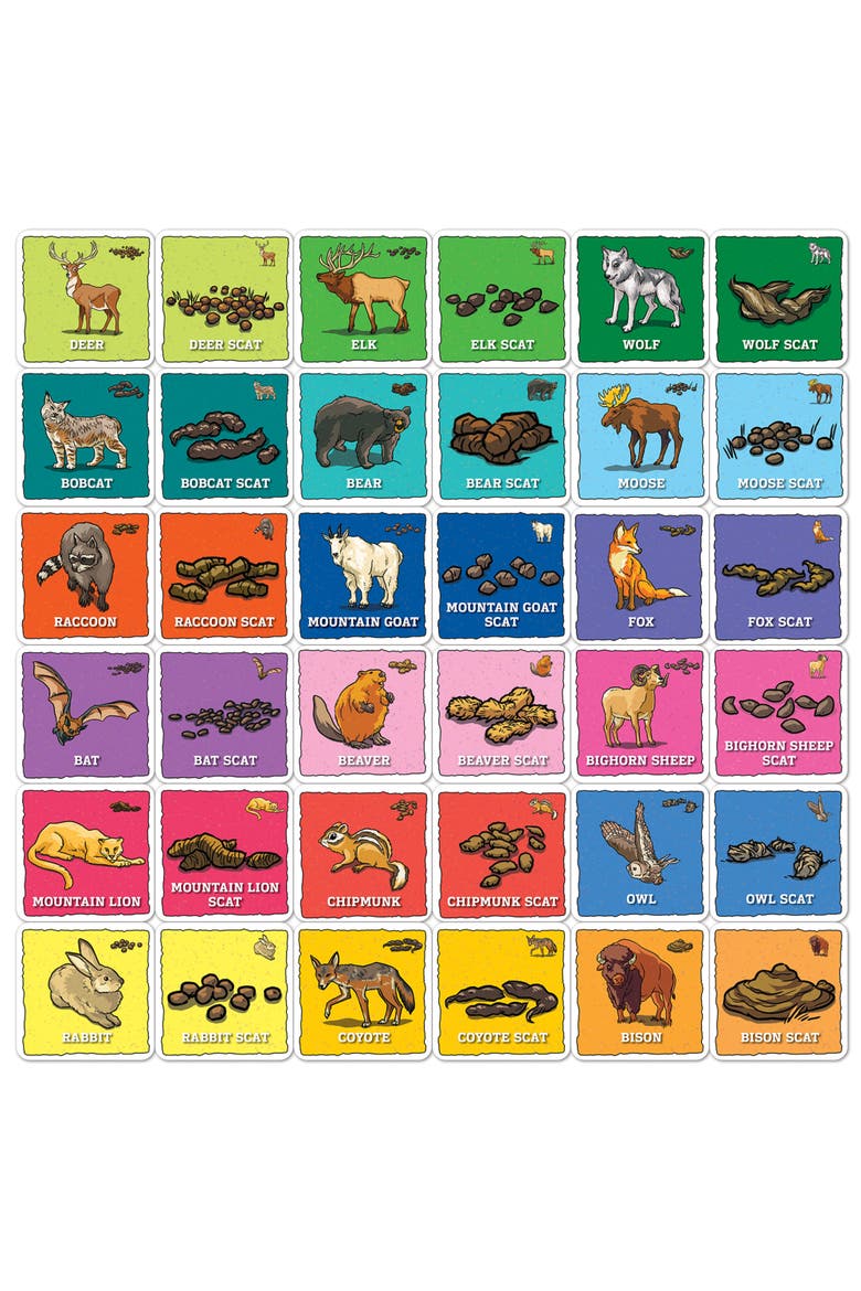 Jr. Ranger - Animal Poop Matching Game, Alternate, color, Multicolor
