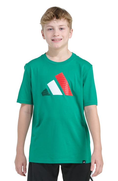 Kids' Nations Badge of Sport Graphic T-Shirt (Big Kid)