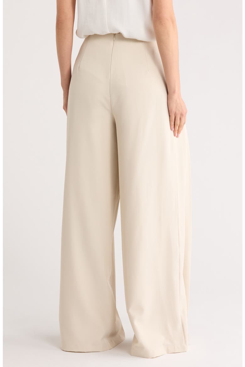 Plymouth Pleated Wide Leg Pants, Alternate, color, PUMICE STONE