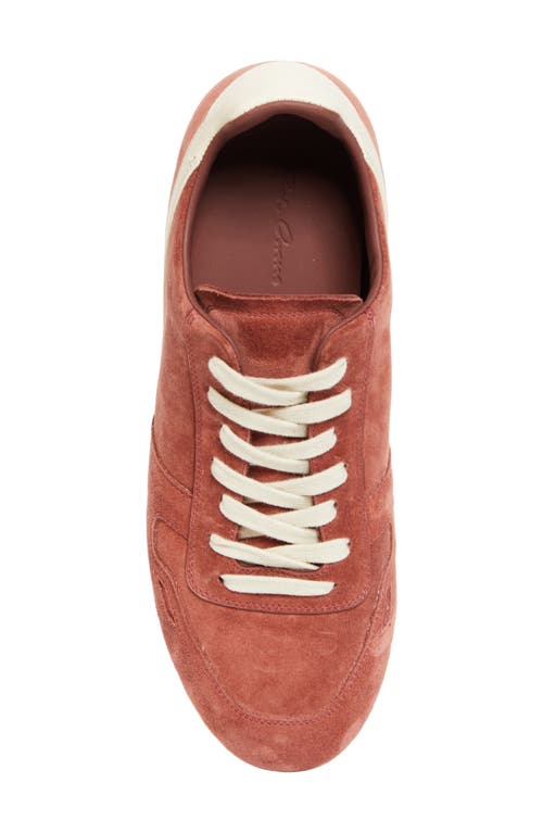 Rick Owens Minimal Low Top Sneaker In Pink