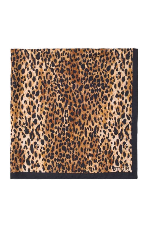 Maje Leopard Print Scarf In Brown