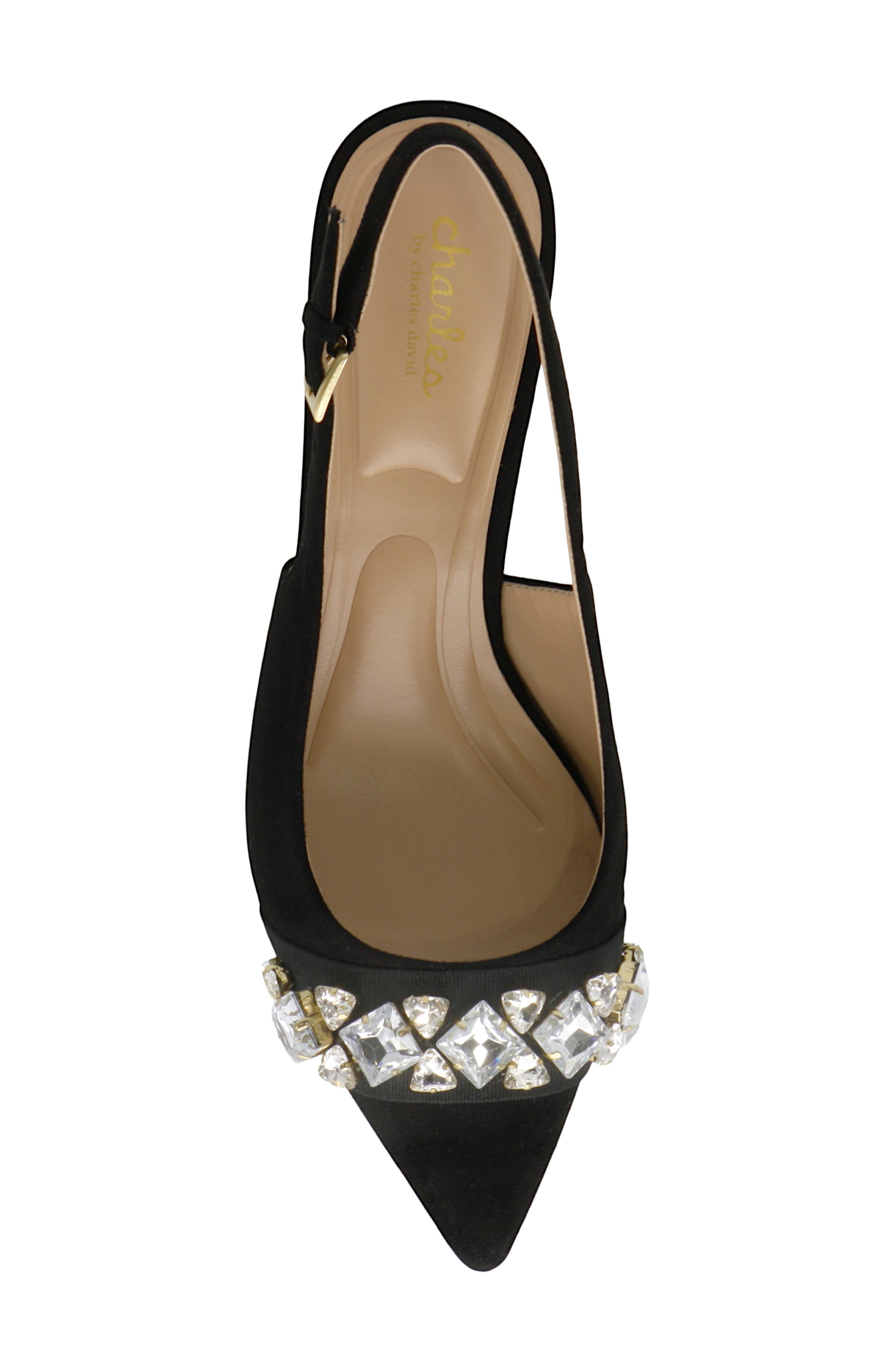 Charles by Charles David Ahava Slingback Pump, Alternate, color, Black