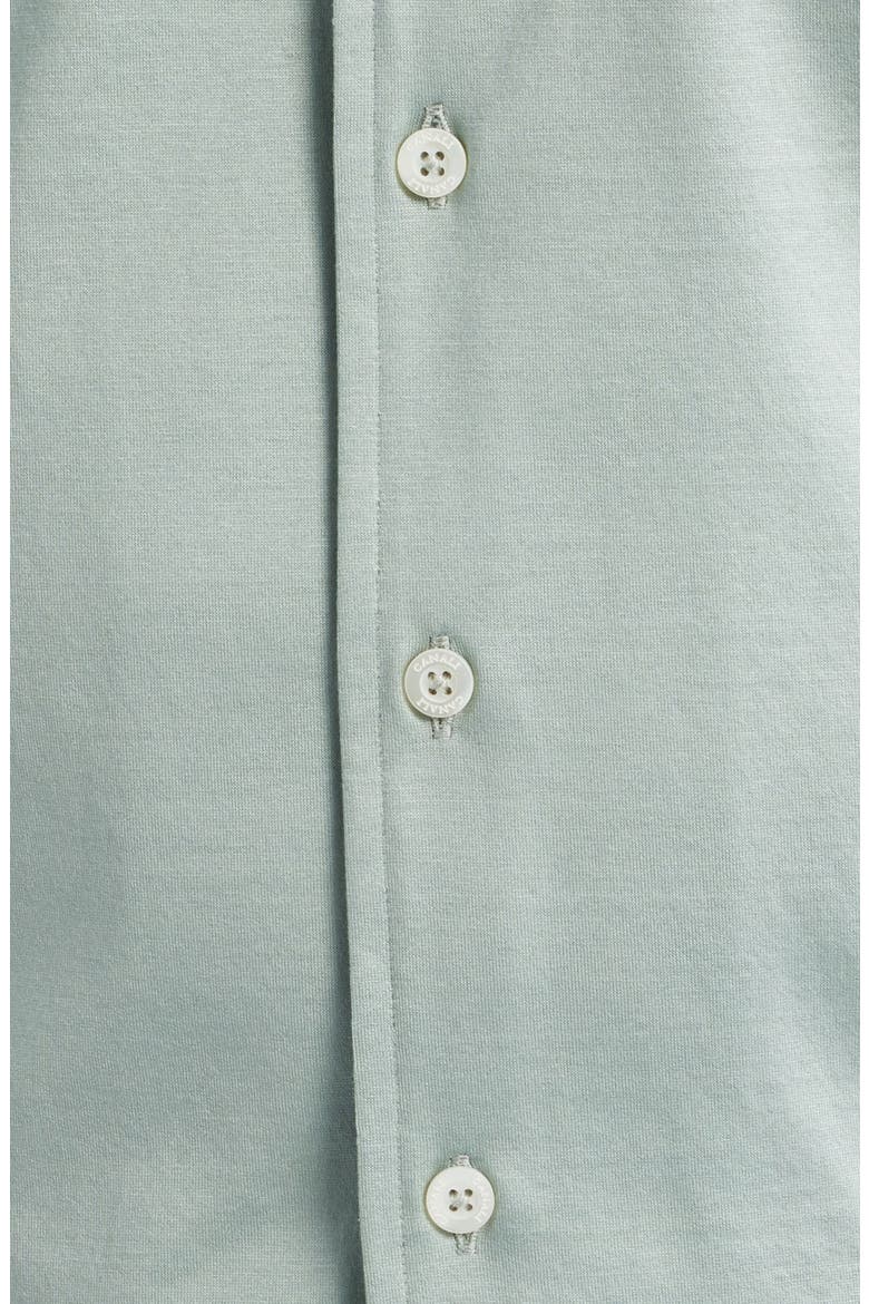 Regular Fit Cotton Jersey Dress Shirt, Alternate, color, GREEN