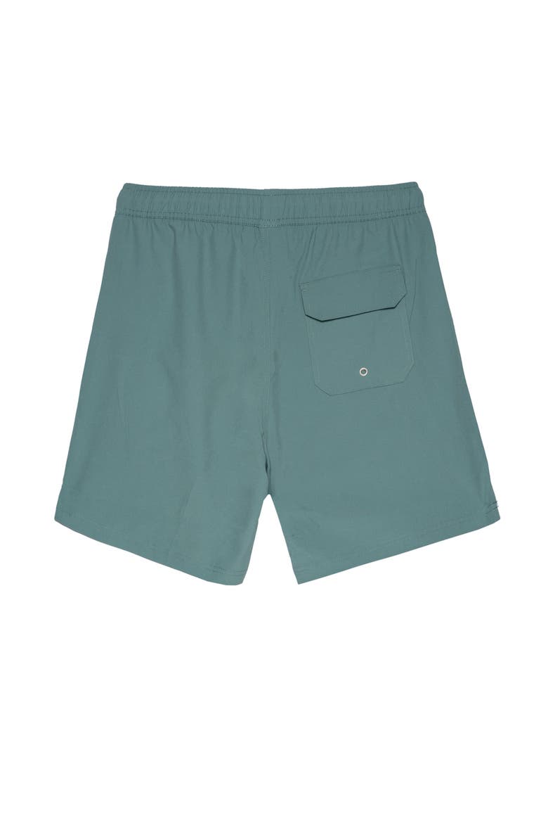 Beach Bound 9" Swim Trunks, Alternate, color, Grey