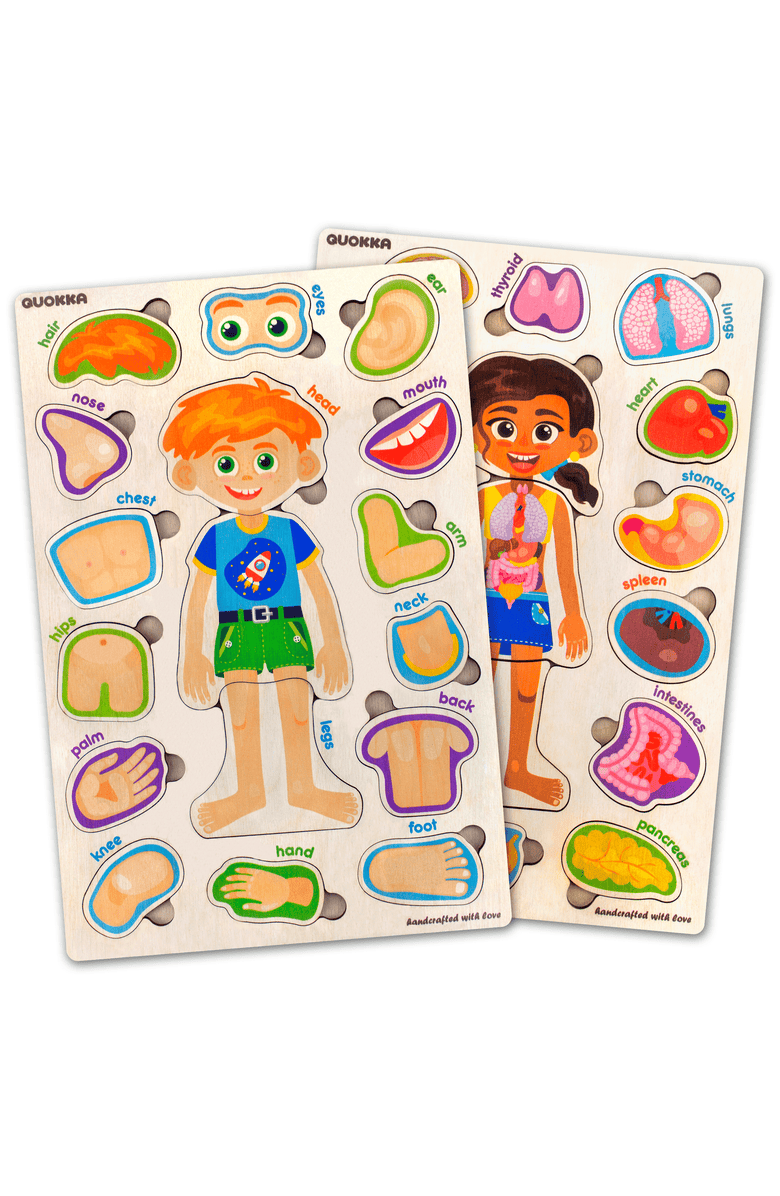 Quokka Human Anatomy Learning Puzzles for Kids, Main, color, Body Parts