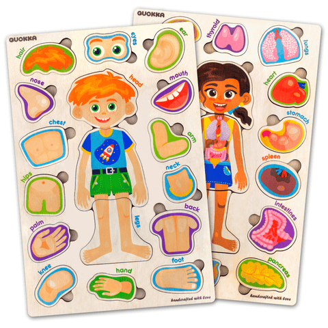 Human Anatomy Learning Puzzles for Kids