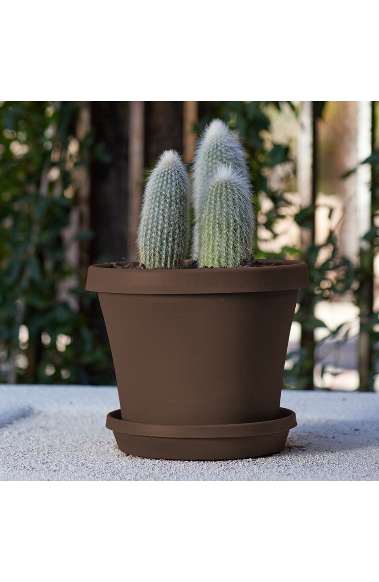 Bloem Terra Pot Planter, 13 Inch x 10.75 Inch, Chocolate Brown, Alternate, color, Brown