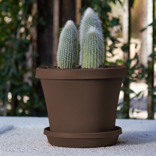Bloem Terra Pot Planter, 13 Inch X 10.75 Inch, Chocolate Brown In Brown