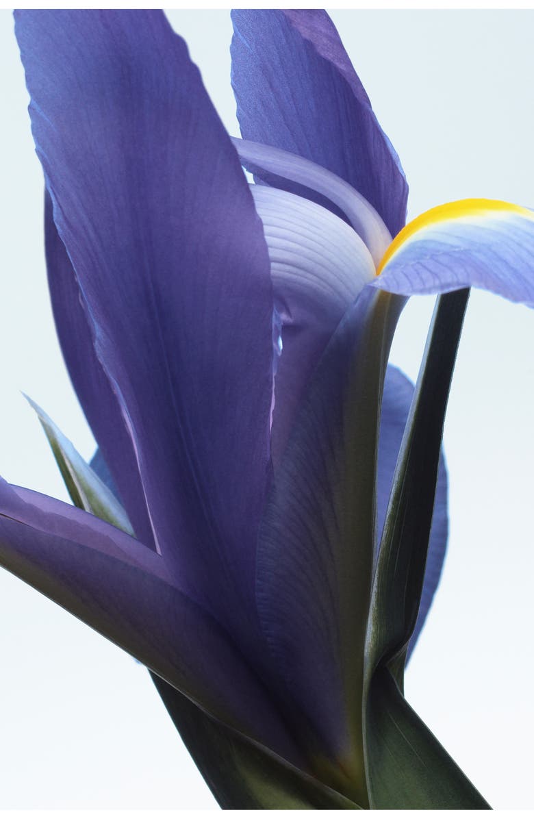 Dries Van Noten Neon Garden Refillable Eau de Parfum, Alternate, color, 