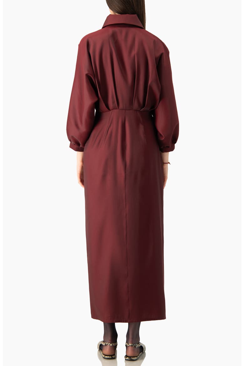 Long Shirt-collar Dress With Balloon Sleeves, Alternate, color, Wine