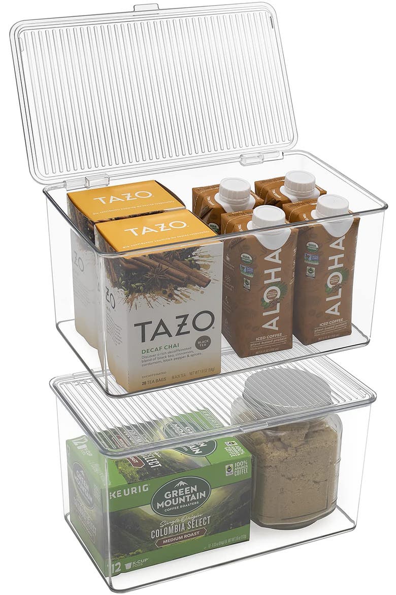Large 2-Pack Storage Bins with Lids, Alternate, color, CLEAR
