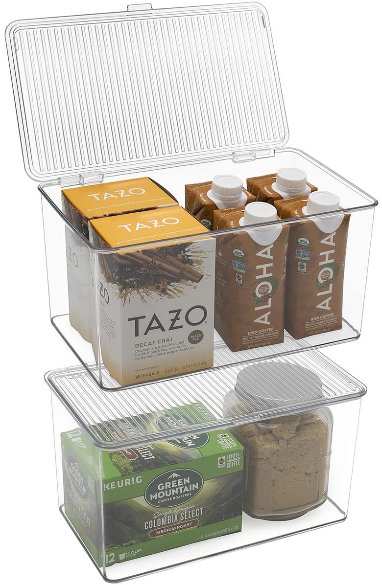 SORBUS Large 2-Pack Storage Bins with Lids, Alternate, color, Clear