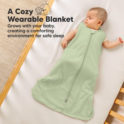 Keababies 2-pack Snooze Sleep Sacks In Roarsome