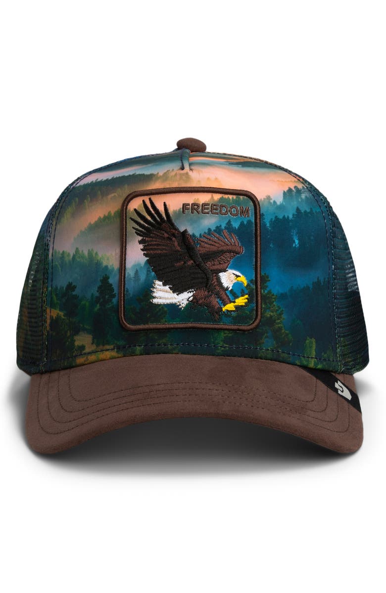 Goorin Bros. Eagle in the Element Patch Trucker Hat, Main, color, Ground