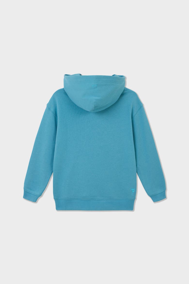 Relaxed Cotton Zip Up Hoodie, Alternate, color, Turquoise