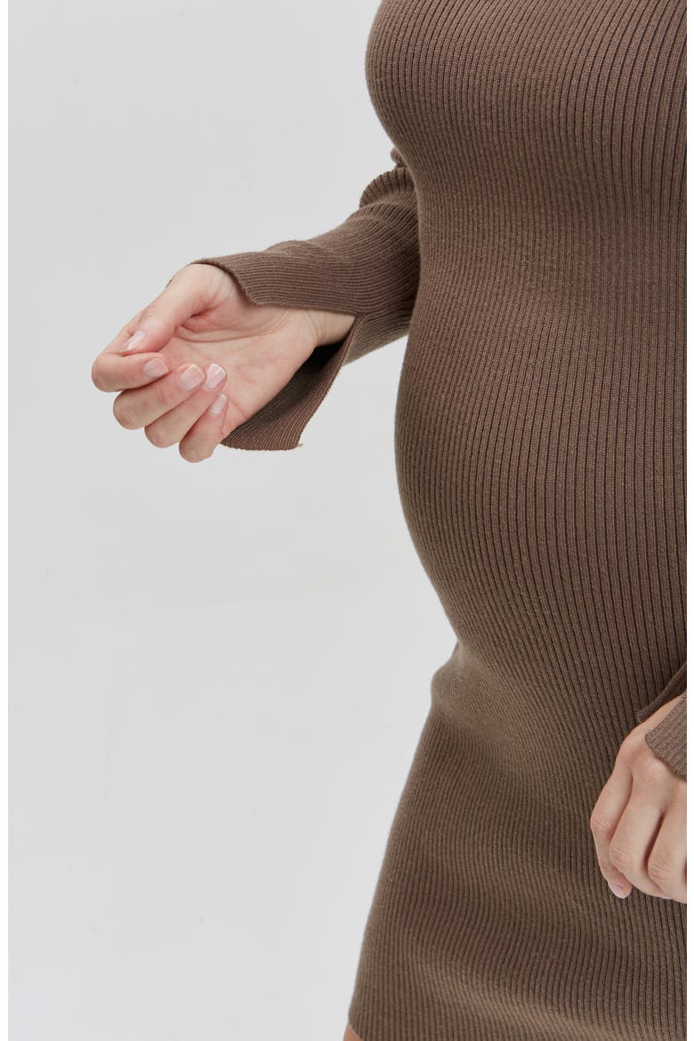 Hudson Maternity & Nursing Long Sleeve Dress, Alternate, color, TAUPE