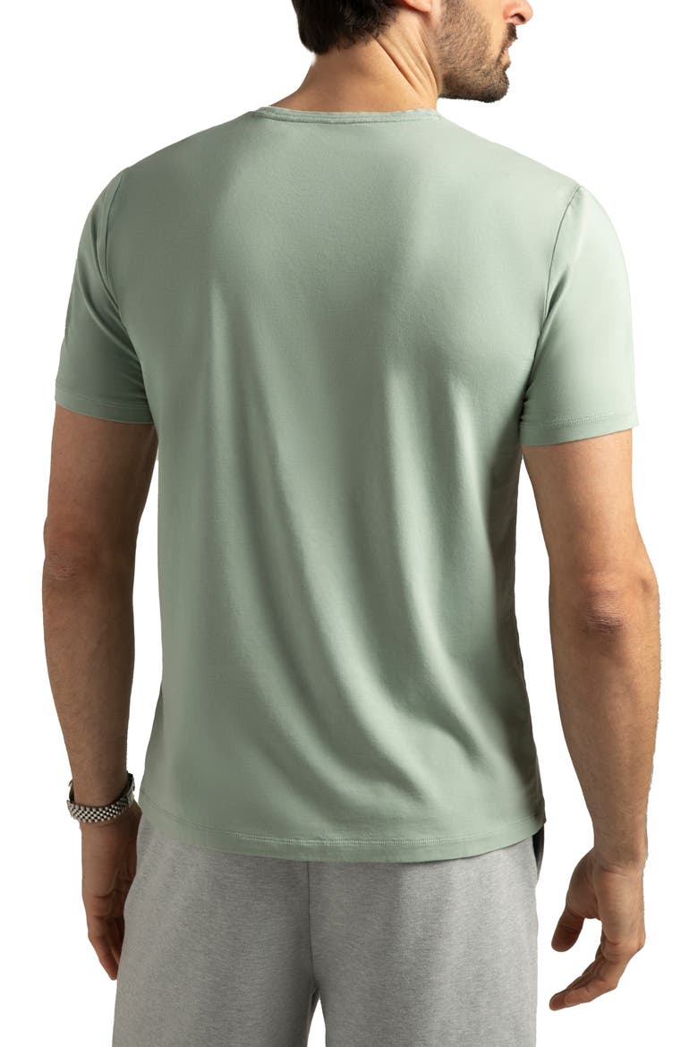 Topanga Performance T-Shirt, Alternate, color, SAGE