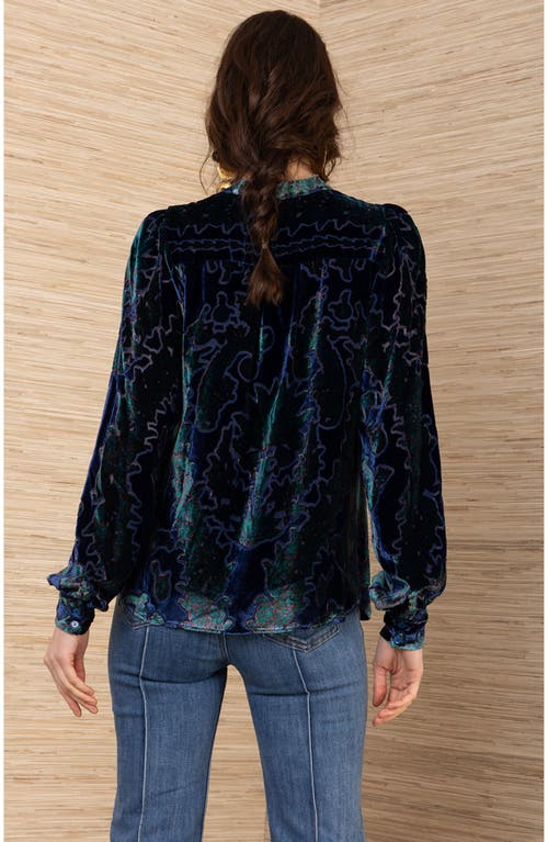 Hale Bob Kailey Velvet Top In Blue