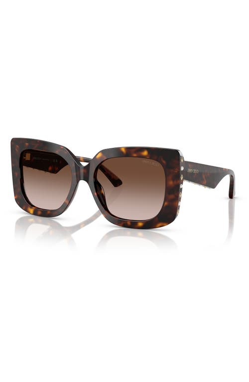 Jimmy Choo 54mm Butterfly Sunglasses In Havana