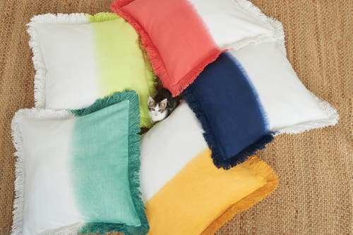 Carol & Frank Aster Decorative Throw Pillow Collection In Multi