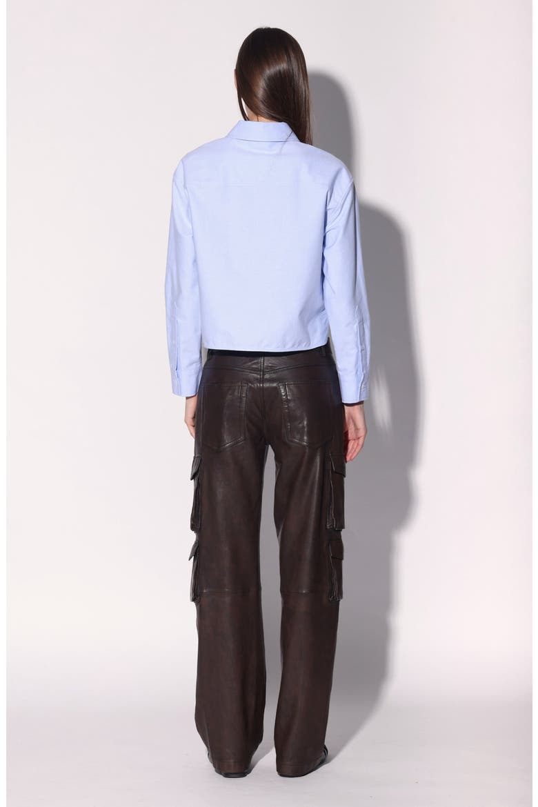 Danny Leather Pant, Alternate, color, Brown