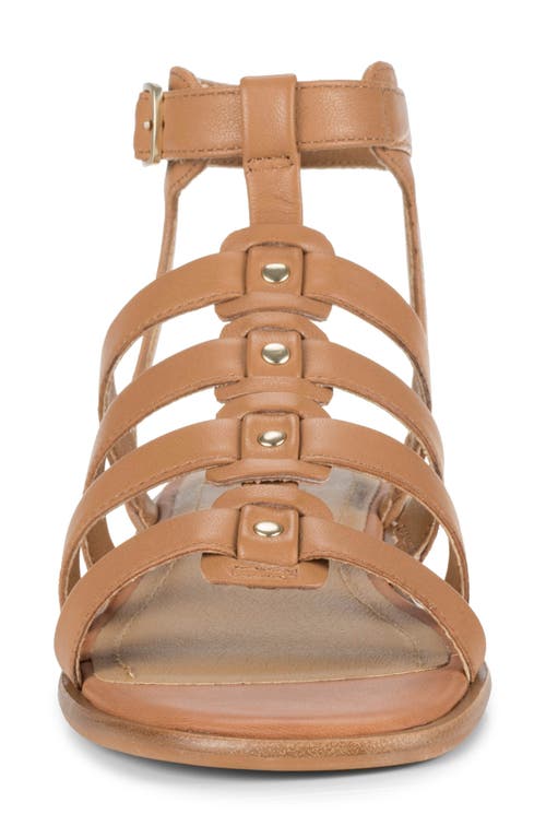 Baretraps Nathalia Gladiator Sandal In Tan Leather