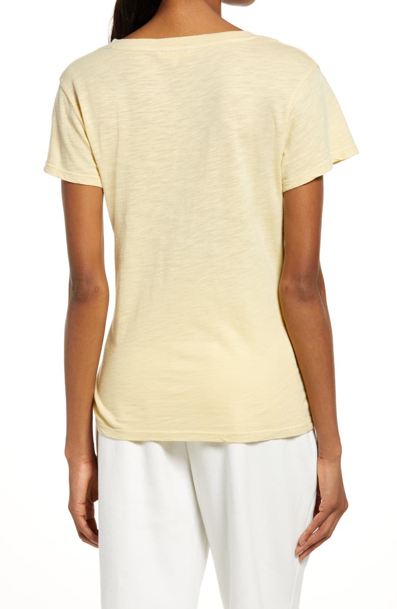 Splendid Botanical V-Neck Cotton & Modal Tee, Alternate, color, 